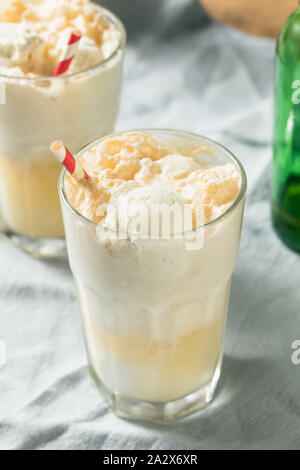 In casa lo zenzero Birra dello scambiatore di calore di Boston con Gelato Foto Stock