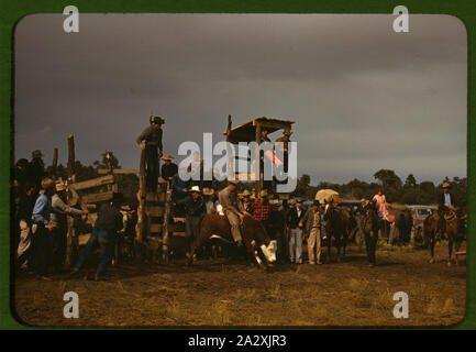 Rodeo presso la città di torta, New Mexico Fair Foto Stock