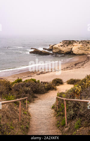 Spooner's Cove a Montaña de Oro parco dello stato. Los Ojos, California, Stati Uniti d'America. Foto Stock