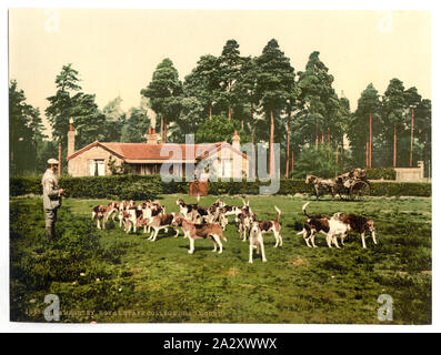 Royal Staff College, trascinare hounds, Camberley, Inghilterra; fa parte di: Viste delle isole britanniche, nella stampa Photochrom collection.; Foto Stock