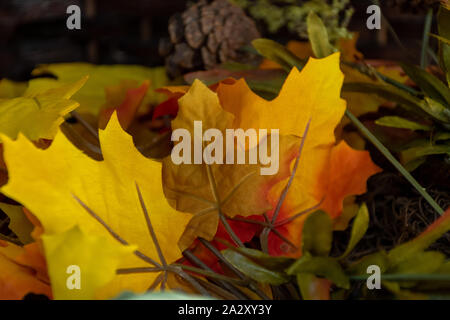 Halloween e il ringraziamento di decorazioni in una casa con foglie colorate in un cestello di decorazioni in una zona residenziale entrata. Foto Stock