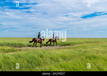 Passeggiate a cavallo nelle paludi salmastre del Mare del Nord Foto Stock