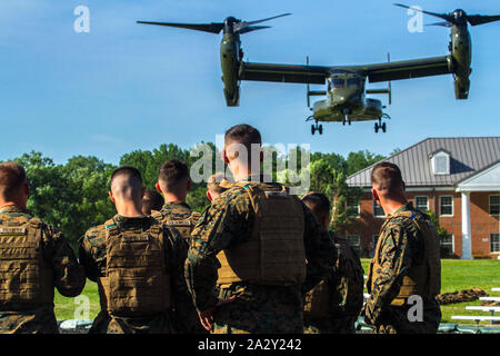 Marines frequentando il funzionario di base corso guarda una MV-22B Osprey con Marine elicottero uno squadrone di terra a bordo del Marine Corps base Quantico, 21 maggio. Il funzionario di base corso è di sei mesi a lungo ed è progettato per formare ed educare recentemente commissionato o nominati ufficiali di norme elevate in materia di conoscenze professionali, Esprit de Corps e leadership per prepararli per il dazio come società di grado degli ufficiali di Marine Corps, con particolare enfasi sui doveri, responsabilità e competenze di combattimento necessarie di un fucile comandante di plotone. (US Marine Corps Photo da 2 Lt. Isaac Lamberth) Foto Stock