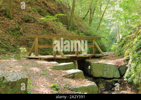 Sul modo di Drachenschlucht Dragon's canyon a Eisenach nel Land di Turingia in Germania Foto Stock