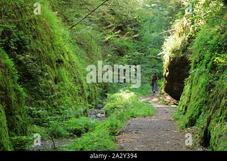 Sul modo di Drachenschlucht Dragon's canyon a Eisenach nel Land di Turingia in Germania Foto Stock