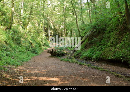 Sul modo di Drachenschlucht Dragon's canyon a Eisenach nel Land di Turingia in Germania Foto Stock