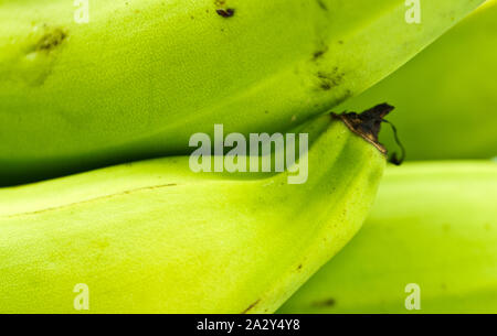 Banane verdi sul tavolo bianco close up shot Foto Stock
