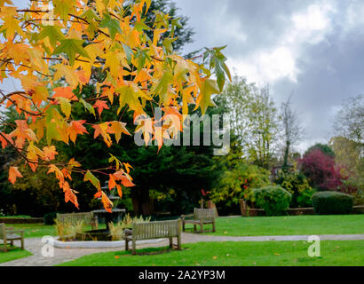 In autunno gli alberi colorati con Arancio e foglie di giallo, una panchina nel parco e fontana in background. Foto Stock