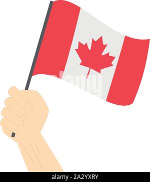 Mano azienda e innalzare la bandiera nazionale del Canada Illustrazione Vettoriale