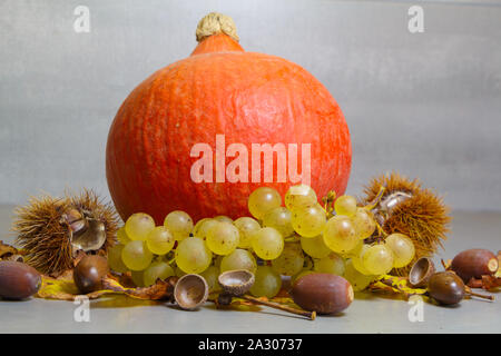 Zucca, castagne, sbuccia, grappolo di uva, acorn e morti di foglie di vite dopo il raccolto in autunno Foto Stock