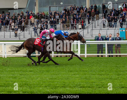 Autunno Racing Weekend & Ascot festa della birra, Ascot Racecourse, Ascot, Berkshire, Regno Unito. 4 Ottobre, 2019. Jockey Jim Crowley vince il gruppo Mar-Key classificati picchetti a cavallo Sawwaah posseduto dal Sig. Hamdan Al Maktoum e addestrati da Owen Burrows da Lamnbourn. Credito: Maureen McLean/Alamy Live News Foto Stock