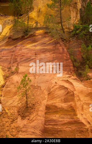 Ockerfelsen bei Roussillon, dipartimento Vaucluse, Regione Provence-Alpes-Côte d'Azur, Frankreich, Europa| scogliere ocra vicino Roussillon Vaucluse partono Foto Stock