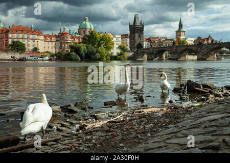 Lo skyline della citta' vecchia di Praga si vede attraverso il fiume Moldava. Foto Stock