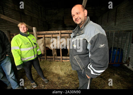 Petur Freyer Petursson e Helga Haraldsdottir sollevare i cavalli e pecore vicino Torvaldseyri Hobby farmer Petur Freyer Petursson paure Eyafjallajökull meno di lui teme il vulcano Katla. Foto Stock