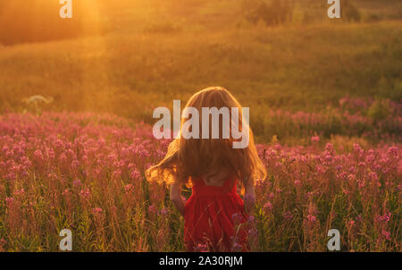 Ballando e saltando ragazza in abito rosso tra blooming Sally Field in sunset Foto Stock