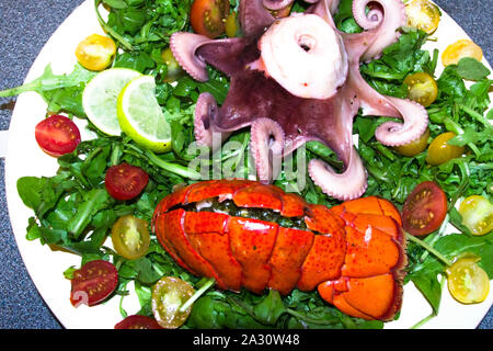 Polipo cotti e la coda di aragosta con insalata su una piastra. Frutti di mare piatto. Foto Stock