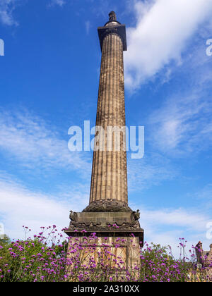 La colonna scanalata del Melville monumento in St Andrews Square Edimburgo in Scozia Foto Stock