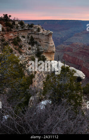 Pinyon pine e juniper alberi che crescono sotto il Rim Trail lungo il Grand Canyon a sunrise. Parco Nazionale del Grand Canyon, Arizona Foto Stock