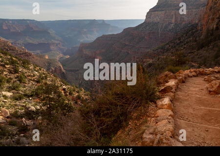 Passi lungo il Bright Angel Trail discendente nel Grand Canyon. Parco Nazionale del Grand Canyon, Arizona Foto Stock