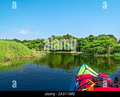 Kayak bow, Scena di fiume, banca erbosa, alberi riflessa, ricreazione, pacifica, natura, Myakka River State Park; Sarasota, FL, Florida; orizzontale Foto Stock