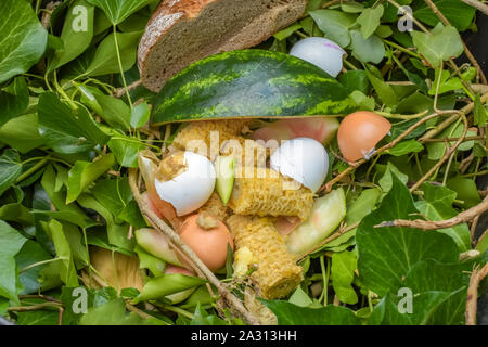 Consente di visualizzare in una bio contenitore con vari rifiuti organici per il riciclaggio. Foto Stock