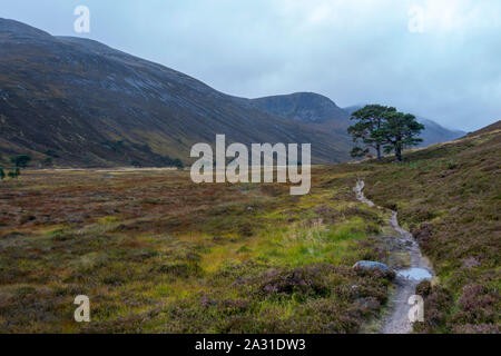 The Glen Lui e Glen Derry rotta nel Parco Nazionale di Cairngorms che vi porta fino a Ben Macdui la montagna più alta del parco. Foto Stock