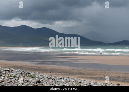 La gente camminare lungo la spiaggia, Castlegregory, nella contea di Kerry, Irlanda Foto Stock