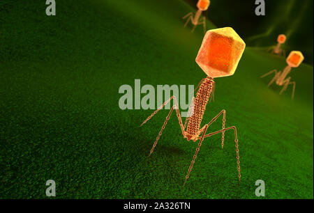 Il batteriofago di particelle di virus batteri sulla superficie. 3D illustrazione Foto Stock