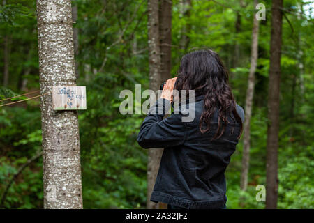 Un maschio professionale fotografo con lunghi capelli neri è visto nel bosco indossando un black denim camicia come fotografa un segno spirituale su un albero. Foto Stock