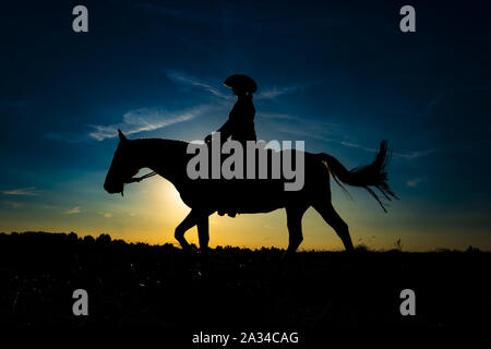 Silhouette cowgirl equitazione sulla piana aperta nella parte occidentale di sunrise Foto Stock