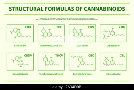 Le formule strutturali dei principali cannabinoidi naturali orizzontale illustrazione infografico sulla cannabis come medicina di erbe, sanitari e medici vettore. Illustrazione Vettoriale