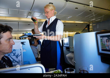 Paesi Bassi la Colombia hostess offrendo il vino in classe business volo KLM foto Jaco Klamer/Alamy Foto Stock