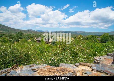 Paesaggio. Majaelrayo, provincia di Guadalajara, Castilla La Mancha, in Spagna. Foto Stock