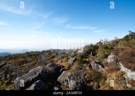 La via per il monte hallasan, Jeju Island, la Corea del Sud. Foto Stock