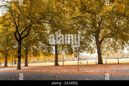 Battersea Park in autunno e in uno dei vicoli coperti con foglie di giallo, London, Regno Unito Foto Stock