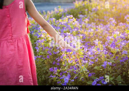 La mano di una bambina toccando fiori selvaggi nel prato sotto la luce del sole Foto Stock