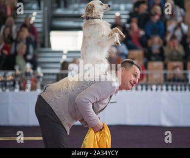 Rostock, Germania. 05 ott 2019. Una commedia dog show con Leonid Beljakov presso il pedigree internazionale mostra il cane in Rostock exhibition hall. Circa 2.000 pedigree cani da 250 diverse razze competere a Rostock equo per essere giudicato da giudici internazionali. Credito: Frank Hormann/dpa/Alamy Live News Foto Stock