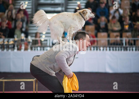 Rostock, Germania. 05 ott 2019. Una commedia dog show con Leonid Beljakov presso il pedigree internazionale mostra il cane in Rostock exhibition hall. Circa 2.000 pedigree cani da 250 diverse razze competere a Rostock equo per essere giudicato da giudici internazionali. Credito: Frank Hormann/dpa/Alamy Live News Foto Stock