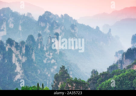 Il paesaggio e insolite formazioni rocciose di Zhangjiajie Forest park nella provincia del Hunan in Cina. Foto Stock