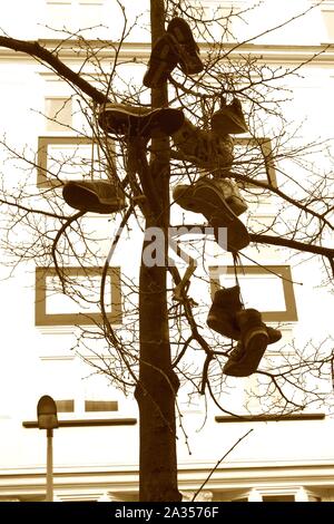 Calzatura Shoefiti tossing usurati scarpe in un albero arte urbana Foto Stock