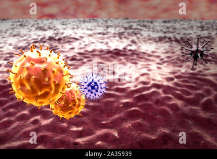 Macrofago uccide i virus, rendering 3d e macrofago virus, dentro il corpo umano, medico uno sfondo video, virus nel corpo umano Foto Stock