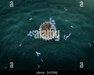 Linfociti, anticorpi, linfociti linfocita genera anticorpi, linfociti contro virus, gruppo di linfociti Foto Stock