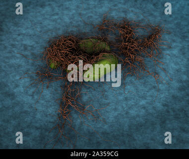 Spore di funghi, spore di funghi, spore di muffa e funghi sulla superficie del cuoio, del fungo rilascia spore, paesaggio di microcosmo Foto Stock