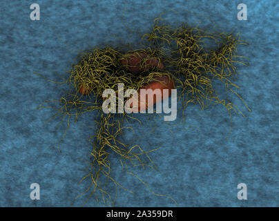 Spore di funghi, spore di funghi, spore di muffa e funghi sulla superficie del cuoio, del fungo rilascia spore, paesaggio di microcosmo Foto Stock