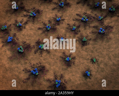 Il fungo sotto microscopio, spore di funghi, spore di funghi, spore di muffa e funghi sulla superficie del cuoio, del fungo rilascia spore, paesaggio di microcosmo Foto Stock