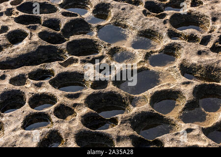 La superficie della roccia con fori rotondi Foto Stock