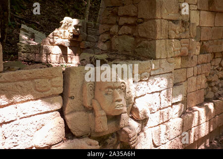 La scala geroglifica in Copan rovine, Copan, Honduras Foto Stock