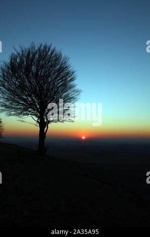 Lone Tree al tramonto Foto Stock