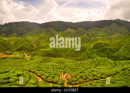 Punto di vista sulle piantagioni di tè tra il verde delle colline e delle montagne del sud-est asiatico al tramonto con le nuvole Foto Stock