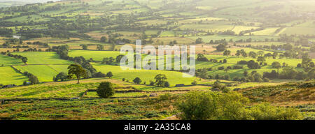 Vista dei campi di campagna britannici dal Roaches nel Peak District Parco nazionale Foto Stock